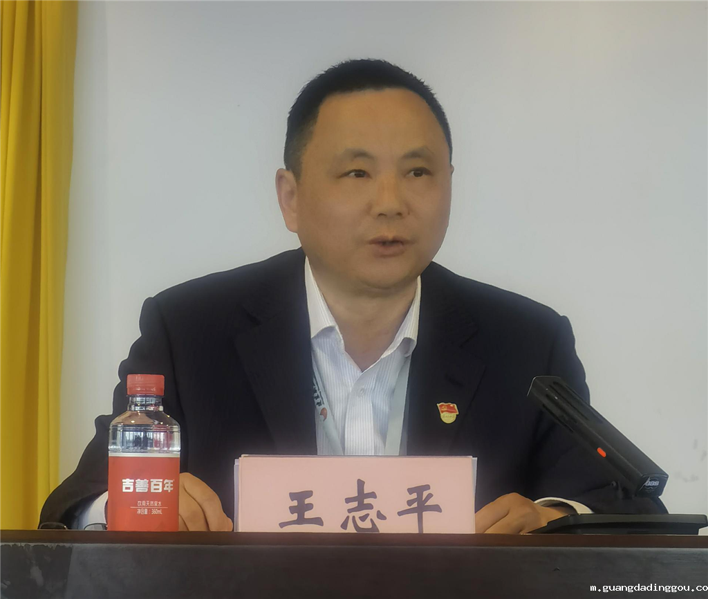 王书记发言.png